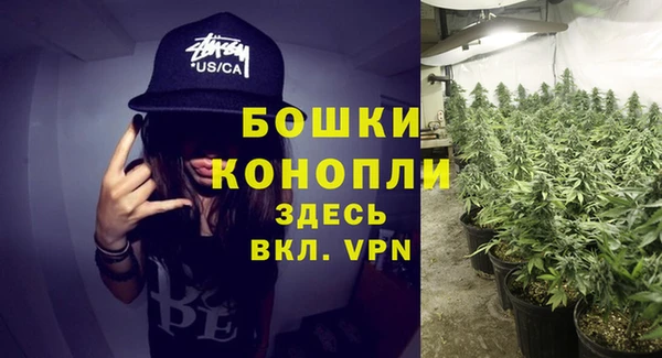 ПСИЛОЦИБИНОВЫЕ ГРИБЫ Переславль-Залесский