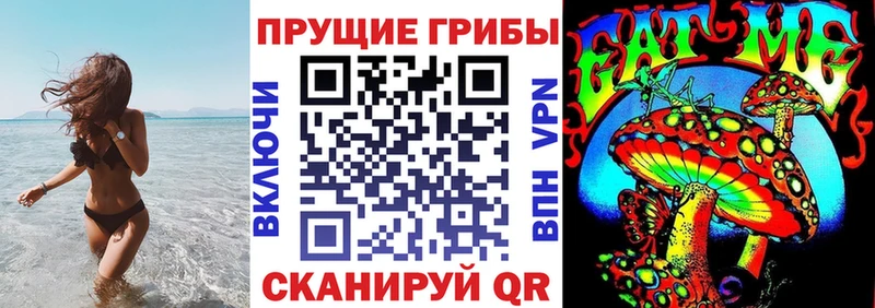 наркошоп  Горбатов  Галлюциногенные грибы ЛСД 